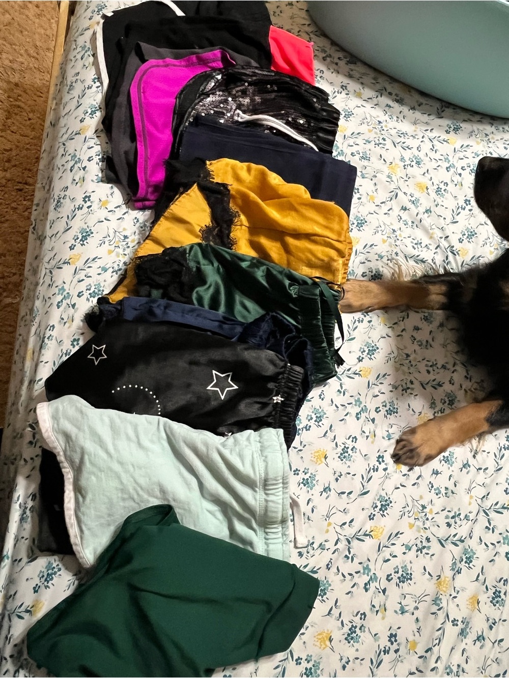 Women medium/large fit shorts bundle